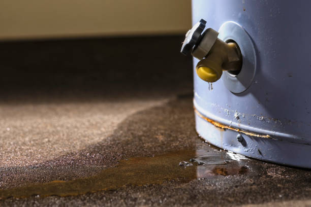 Best Professional water damage repair  in Halstead, KS