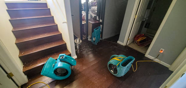 Best Residential water damage restoration  in Halstead, KS