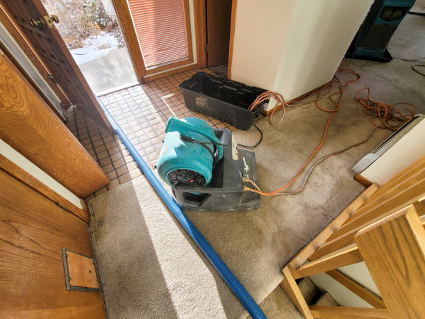 Best Flood damage cleanup  in Halstead, KS