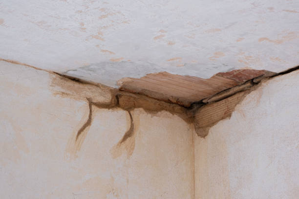 Best Water damage cleanup near me  in Halstead, KS