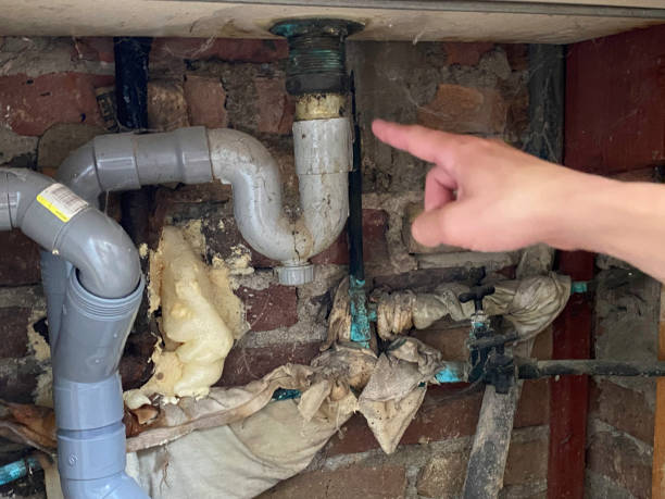 Best Commercial water damage restoration  in Halstead, KS