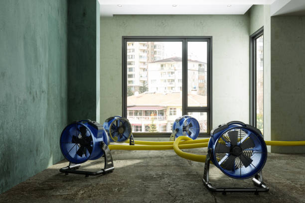 Best 24-hour water damage restoration  in Halstead, KS